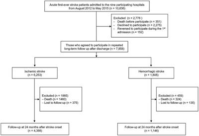 Clustering and prediction of long-term functional recovery patterns in first-time stroke patients